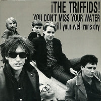 THE TRIFFIDS - You Don't Miss Your Water (Till Your Well Runs Dry)