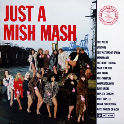 VARIOUS - Just A Mish Mash