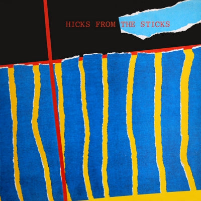 VARIOUS - Hicks From The Sticks