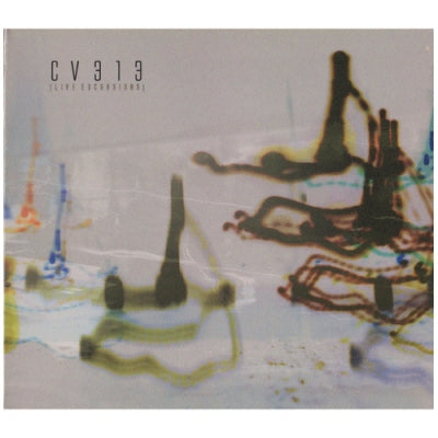 CV313 - Live Excursions