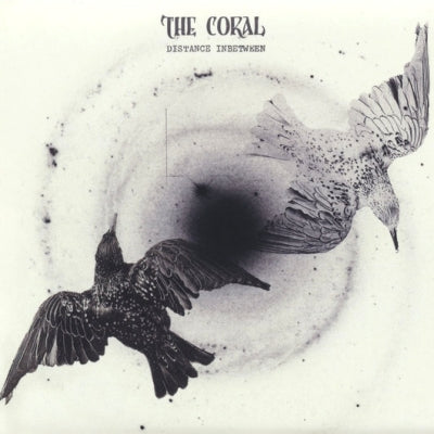 THE CORAL - Distance Inbetween