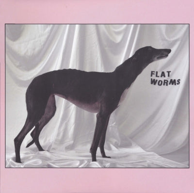 FLAT WORMS - Flat Worms