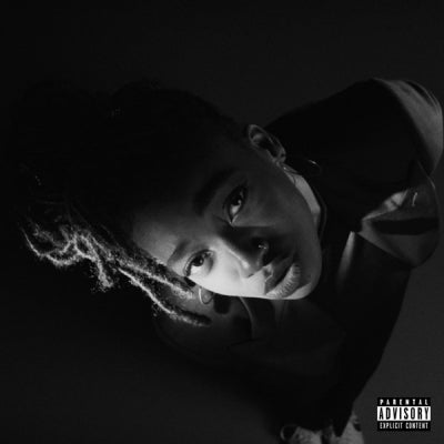 LITTLE SIMZ - Grey Area