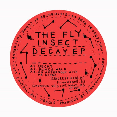 THE FLY INSECT - Decay EP