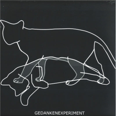 GEDANKENEXPERIMENT - Experiment Defined