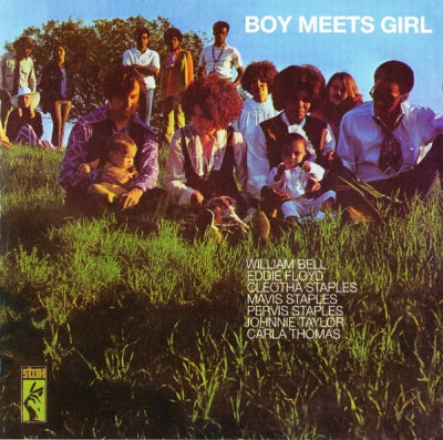 VARIOUS - Boy Meets Girl