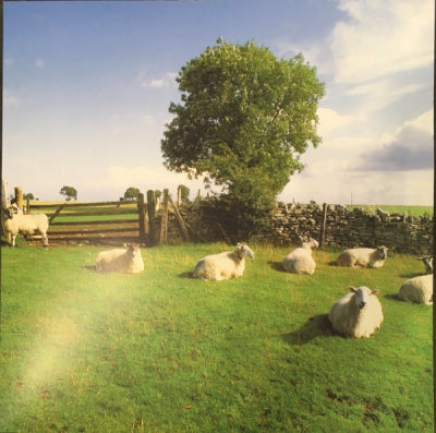 THE KLF - Chill Out