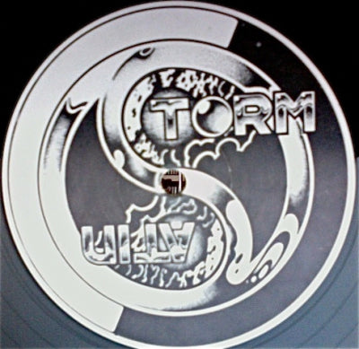 SATIN STORM - Think I'm Goin' Out Of My Head / What Do You Do?