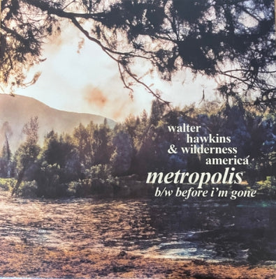 WALTER HAWKINS & WILDERNESS AMERICA - Metropolis