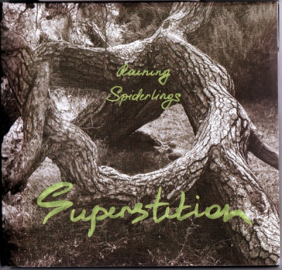 RAINING SPIDERLINGS - Superstition