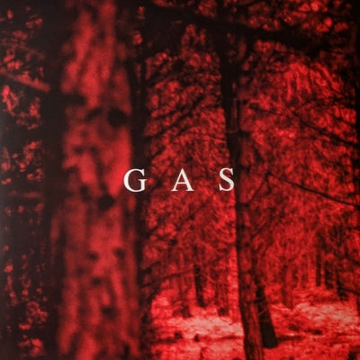 GAS - Zauberberg