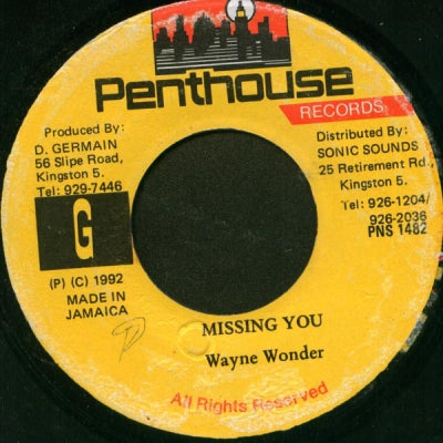 WAYNE WONDER - Missing You / Remix