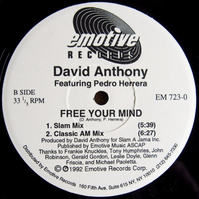 DAVID ANTHONY FEATURING PEDRO HERRERA - Free Your Mind