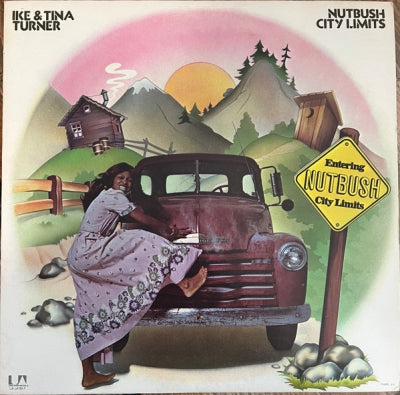 IKE & TINA TURNER - Nutbush City Limits