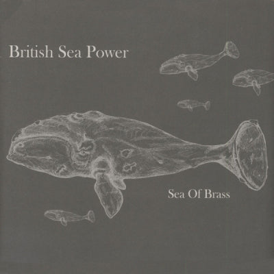 BRITISH SEA POWER - Sea Of Brass