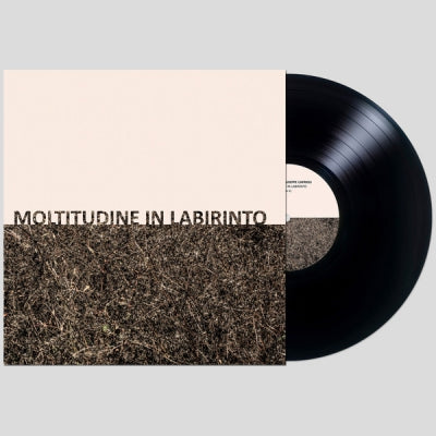 GIGI MASIN & GIUSEPPE CAPRIOLI - Moltitudine In Labirinto