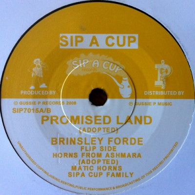 BRINSLEY FORDE / MATIC HORNS & SIPA CUP FAMILY - Promised Land / Horns From Ashmara