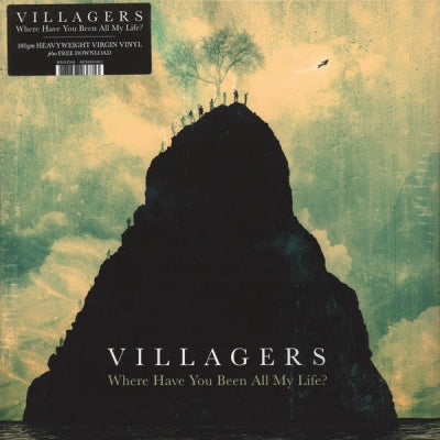 VILLAGERS - Where Have You Been All My Life?