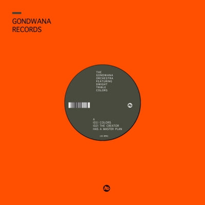 THE GONDWANA ORCHESTRA FEATURING DWIGHT TRIBLE - Colors