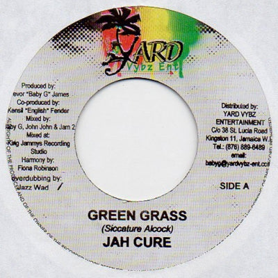 JAH CURE - Green Grass / Instrumental