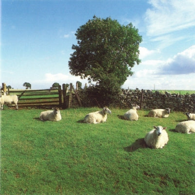 THE KLF - Chill Out