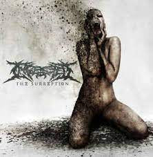 INGESTED - The Surreption II