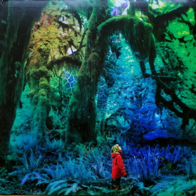 JACCO GARDNER - Cabinet Of Curiosities