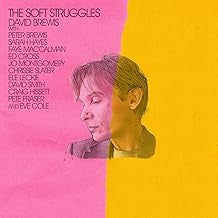 DAVID BREWIS - The Soft Struggles